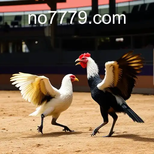 Explorando o Mundo dos Jogos de Sabong e a Plataforma no777